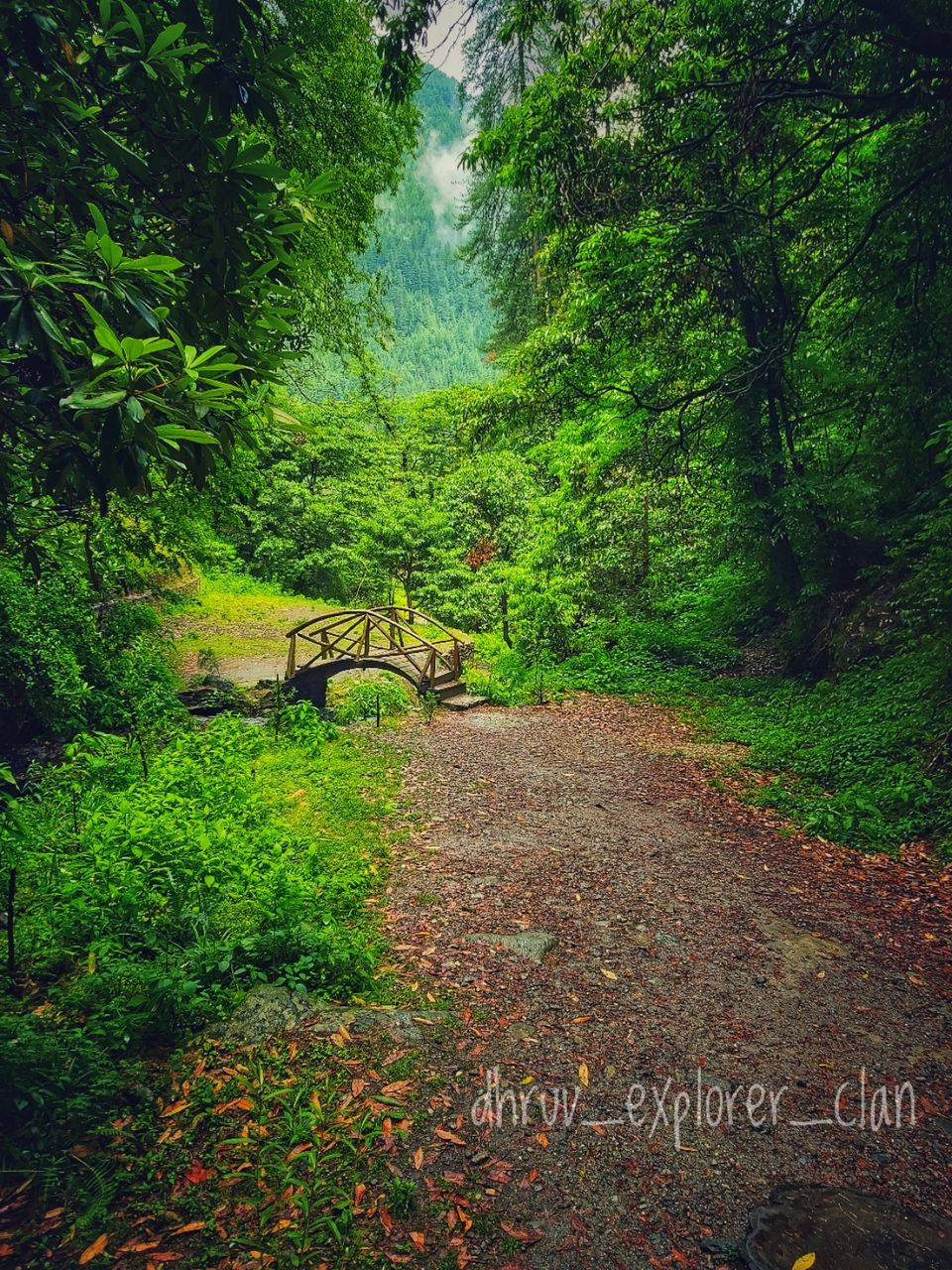 Photo of Jibhi, Himachal Pradesh, India by Dhruv Sharma