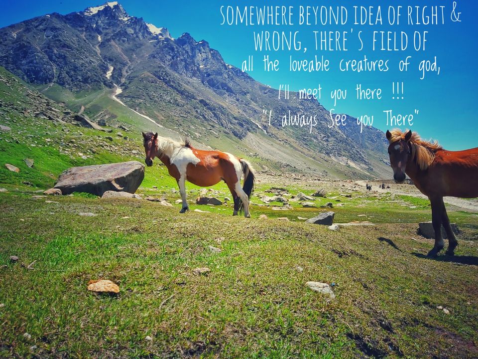 Photo of 29 Days Solo Trip _ Jaipur to Spiti Valley by Dhruv Sharma