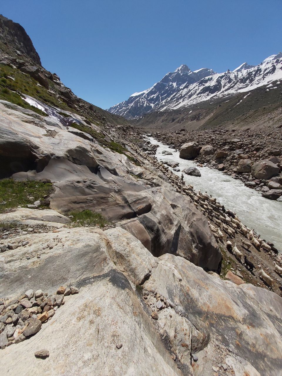 Photo of 29 Days Solo Trip _ Jaipur to Spiti Valley by Dhruv Sharma