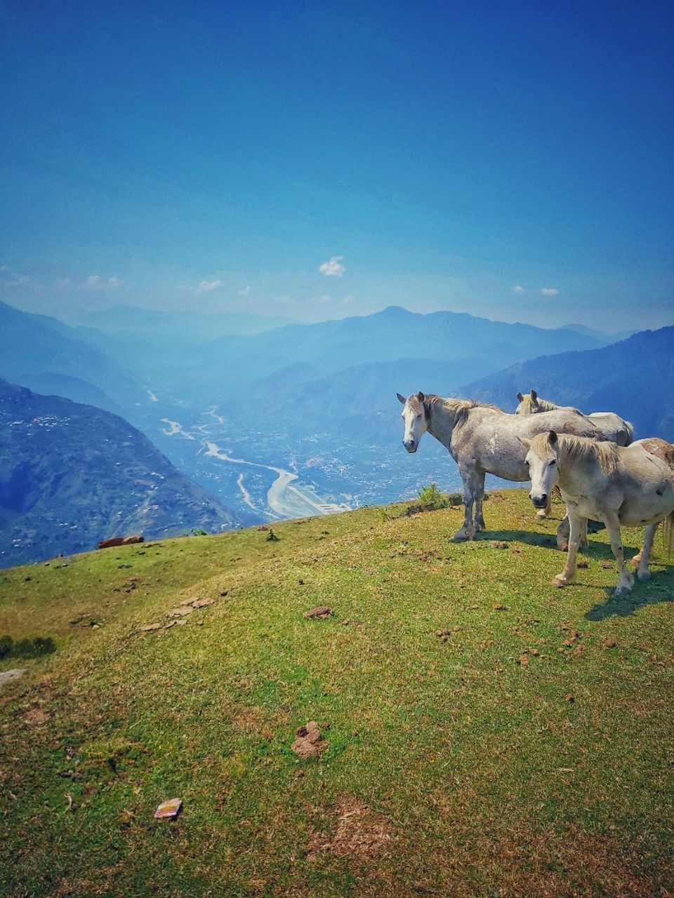 Photo of Bijli Mahadev Temple, Kashawri, Himachal Pradesh, India by Dhruv Sharma