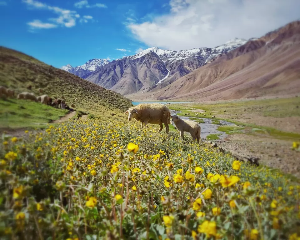 Photo of Chandra Taal, Himachal Pradesh by Dhruv Sharma