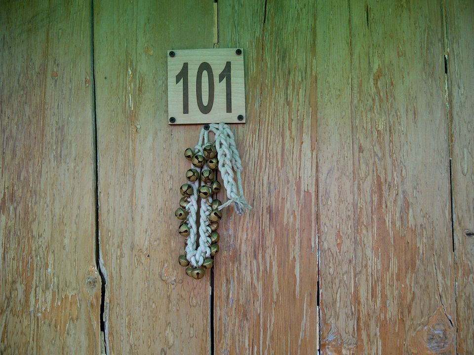 Photo of Cool and Calm Holiday at Woodsmoke, Shoghi, Shimla 4/5 by Chander Malhotra