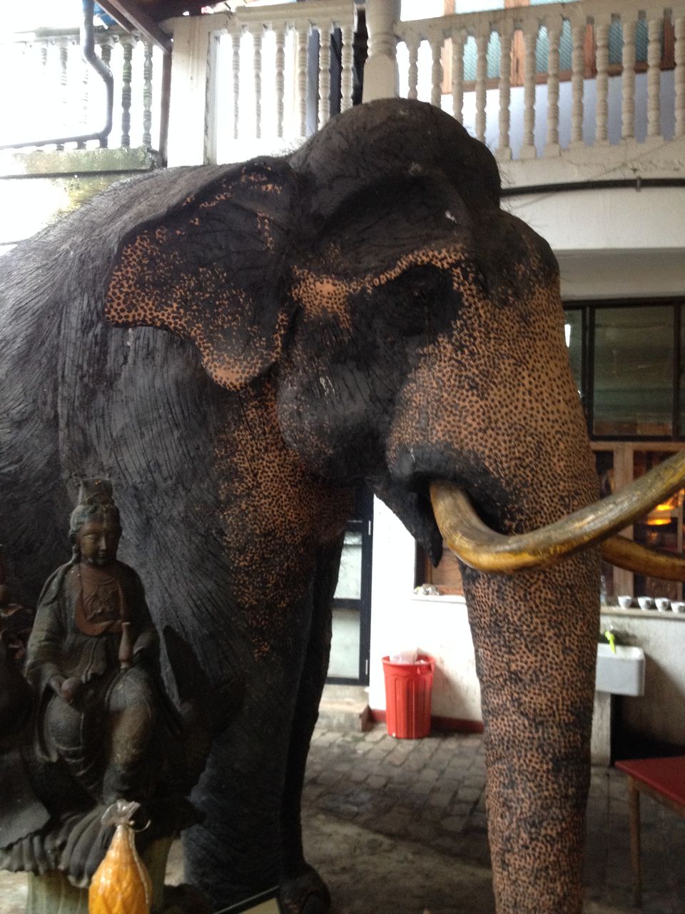 Photo of My First Date with Colombo, Sri Lanka 4/7 by Chander Malhotra
