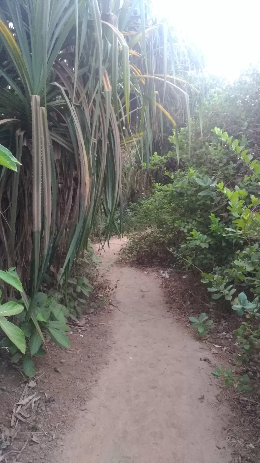 Photo of Srivardhan Beach, Maharashtra by Nupur Agrawal