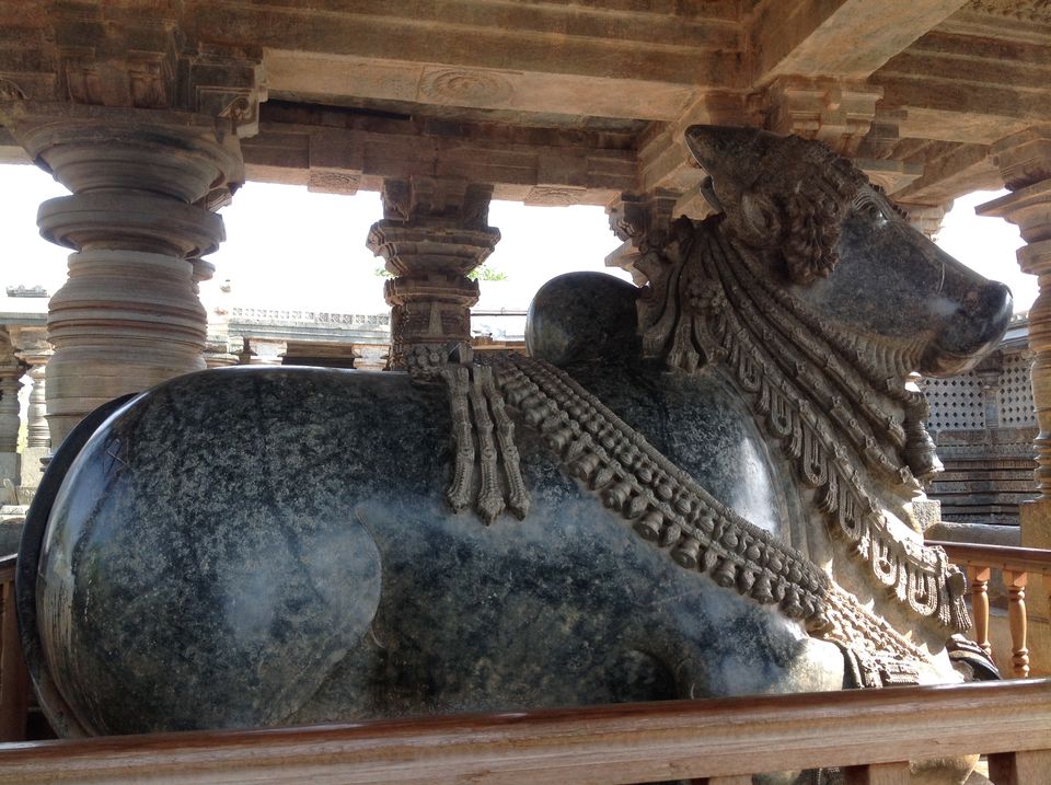 Photo of Shravanabelagola - Belur - Halebeedu 29/46 by Prakash
