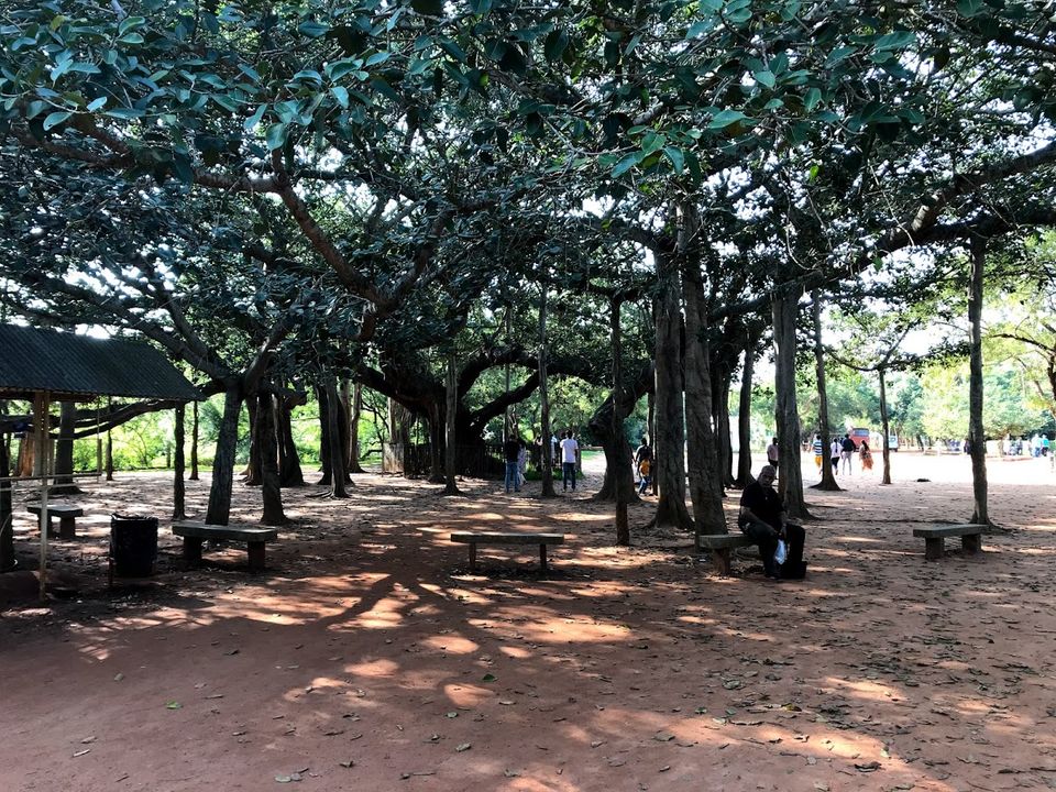 Photo of Pichavaram - Chidambaram -Pondicherry 13/15 by Prakash