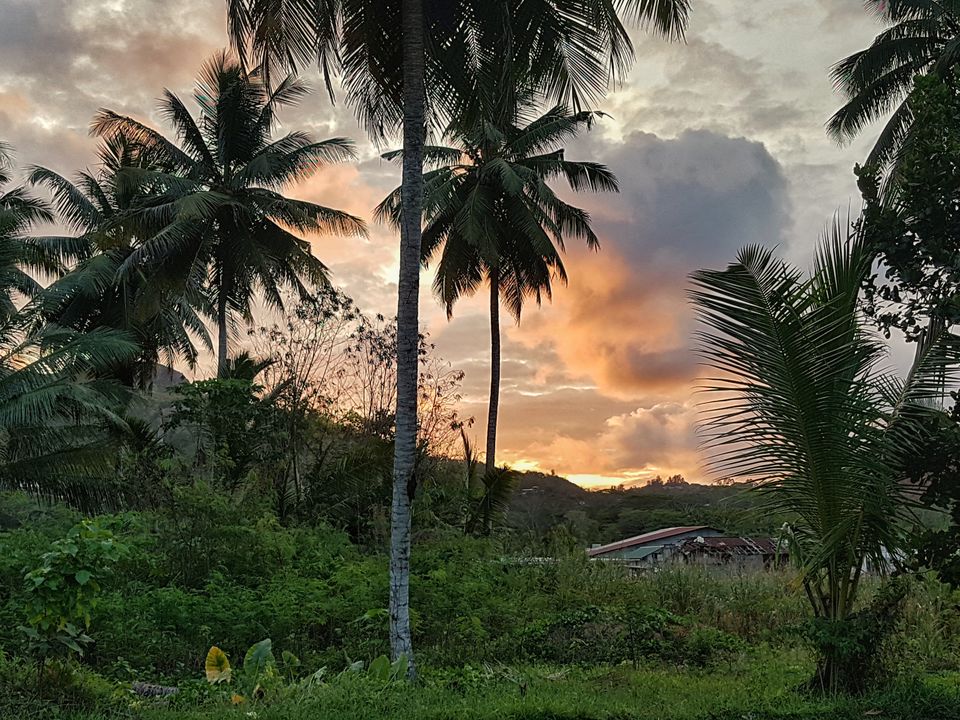 Photo of CocoBlanche, Sweet Escott Road, Anse Royale, Seychelles by Pratik Gandhi