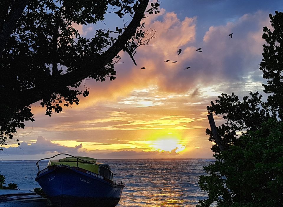 Photo of CocoBlanche, Sweet Escott Road, Anse Royale, Seychelles by Pratik Gandhi