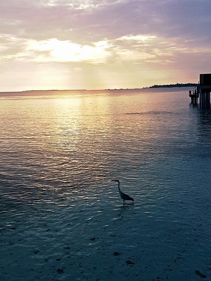 Photo of The perfect day trip 10/10 by Pratik Gandhi