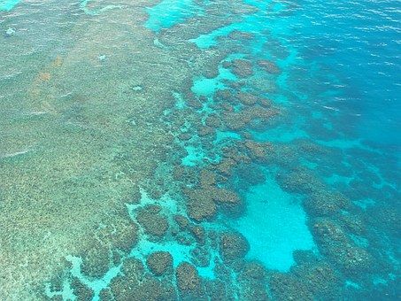 Photo of Australia Travel Guide: Ten Sights that are a Must in Your Travel Plans 2/10 by haziqa ishtiaq