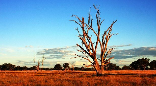 Photo of Australia Travel Guide: Ten Sights that are a Must in Your Travel Plans 6/10 by haziqa ishtiaq
