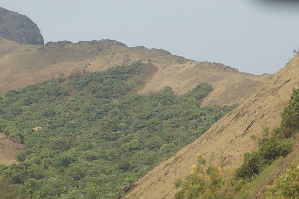 Photo of Mullayanagiri Peak, Pandaravalli, Karnataka by Ashwry Ahluwalia