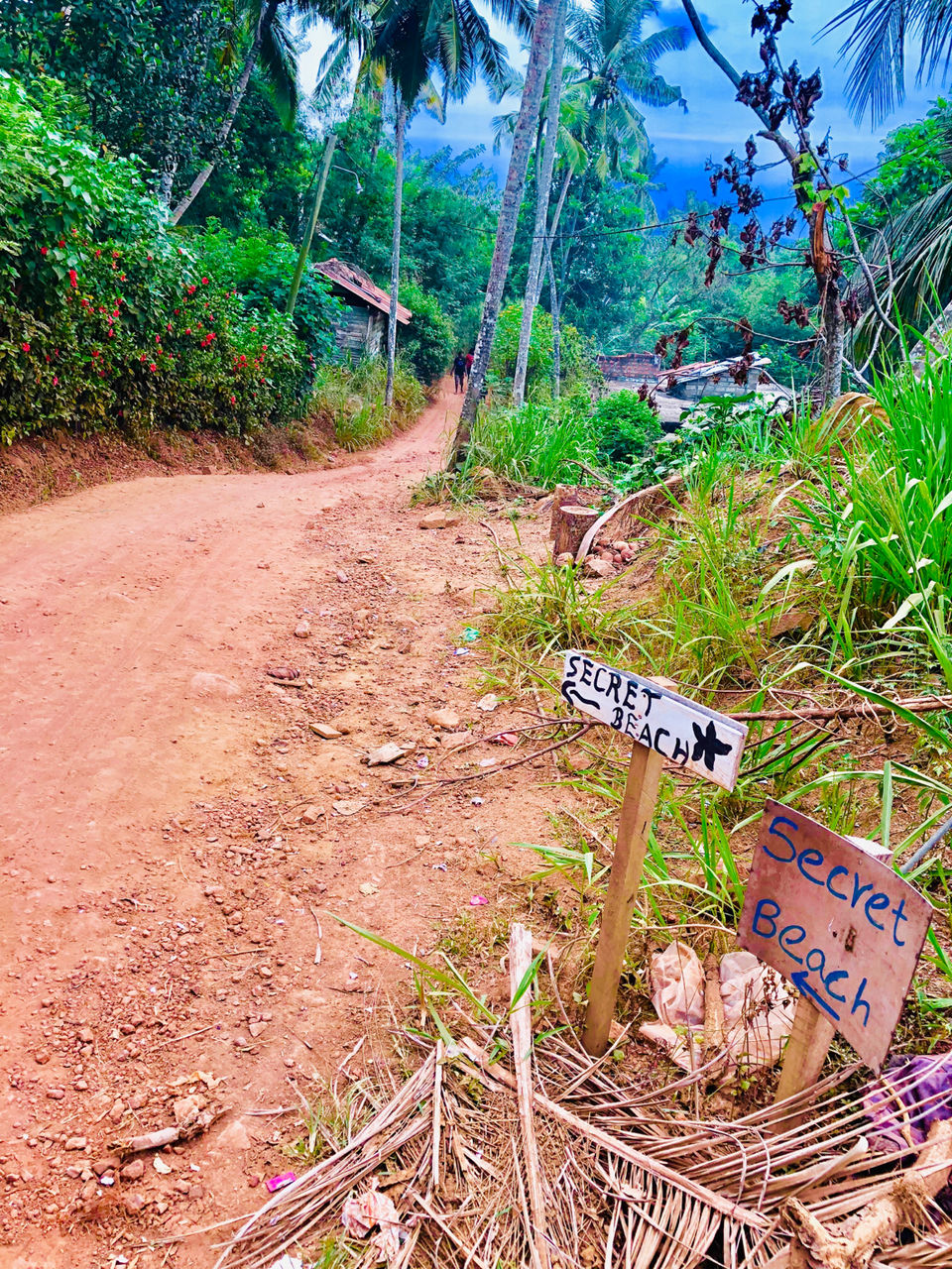 Photo of Secret Beach Mirissa, Mirissa, Sri Lanka by Neha Jain