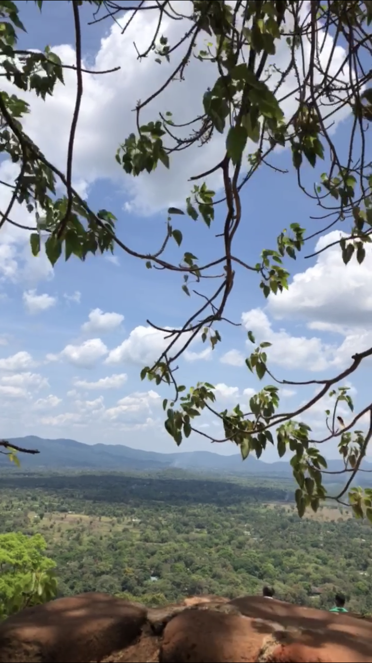 Photo of Sri lanka is not just about beaches by Neha Jain