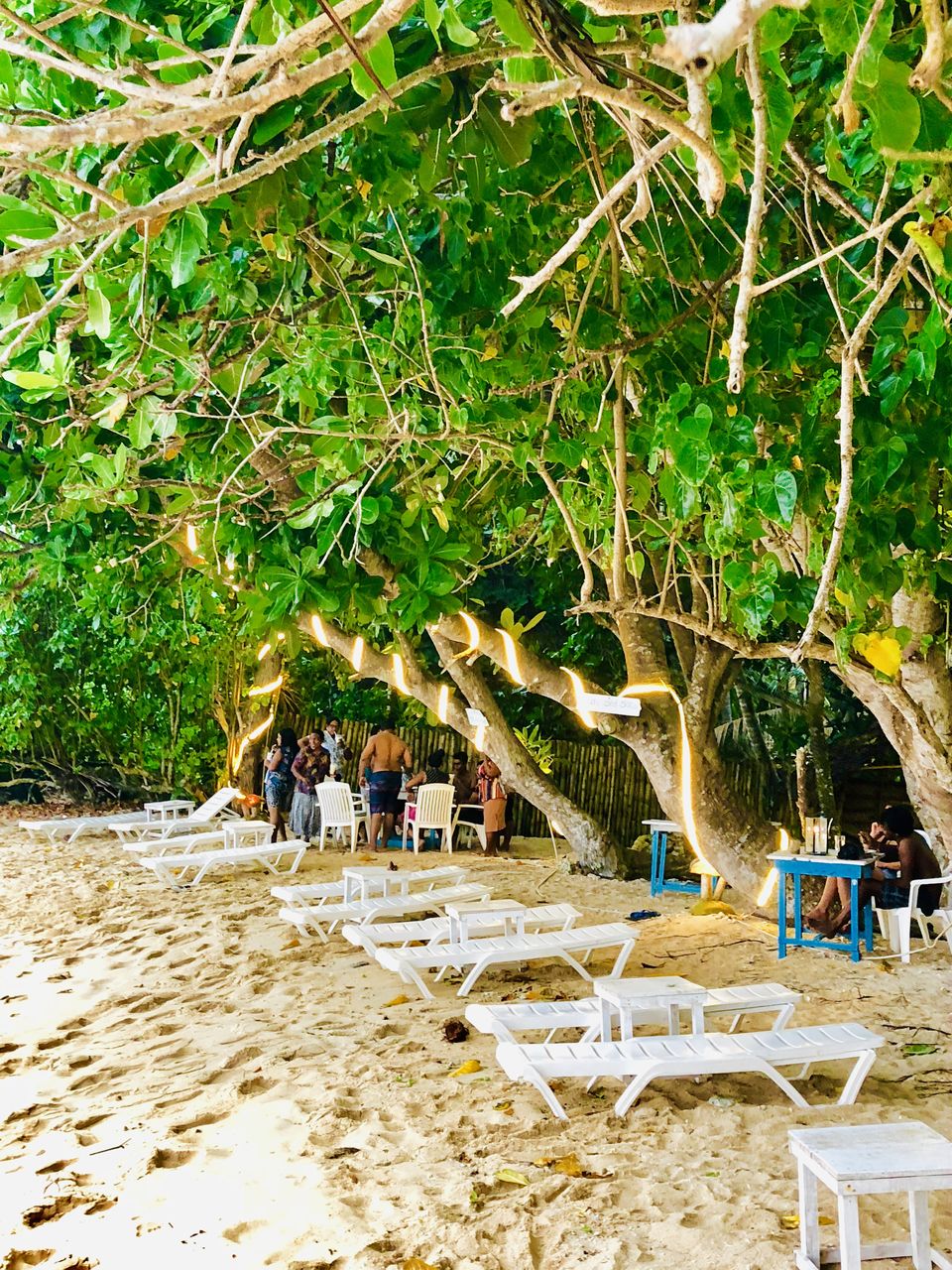 Photo of Secret Beach Mirissa, Mirissa, Sri Lanka by Neha Jain