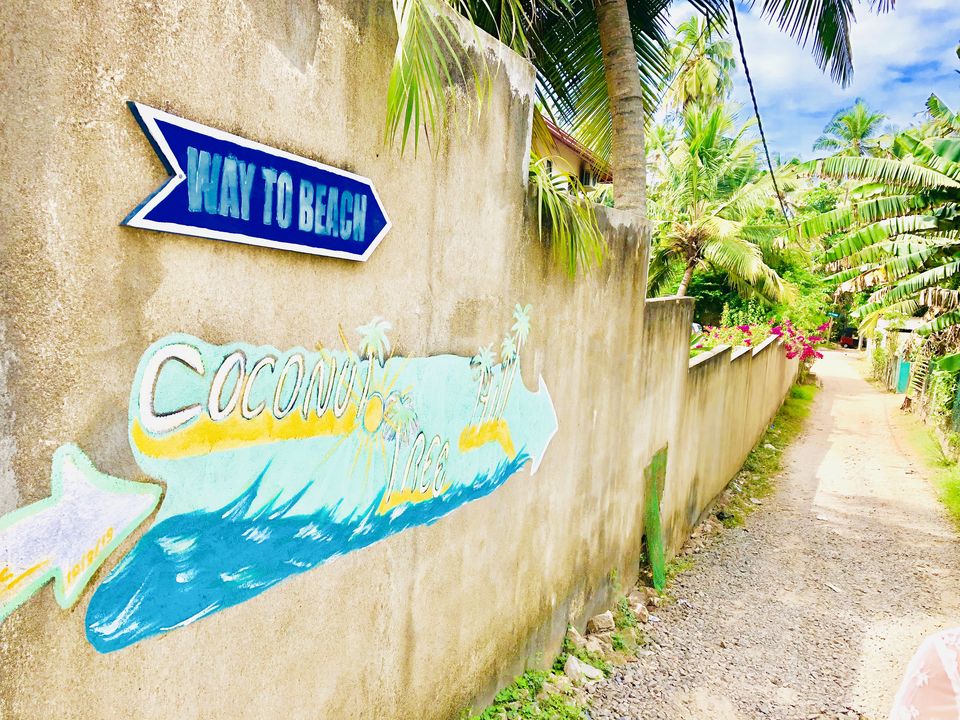 Photo of Coconut Tree Hill Rd, Mirissa, Sri Lanka by Neha Jain