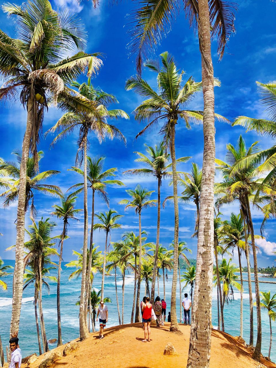 Photo of Coconut Tree Hill Rd, Mirissa, Sri Lanka by Neha Jain