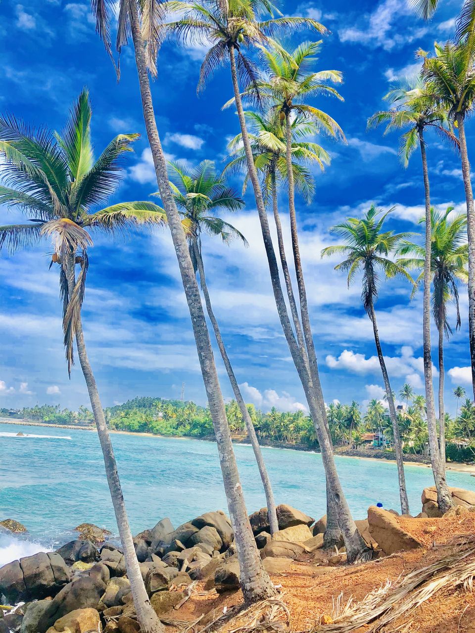 Photo of Coconut Tree Hill Rd, Mirissa, Sri Lanka by Neha Jain
