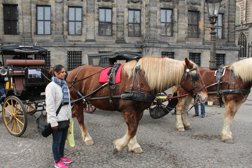 Photo of "Winter Budget Trip to Europe" 6 cities & 20 days – Eastern, Central & Western Europe 173/214 by Rikita Parikh