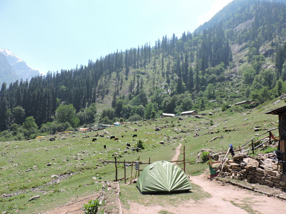 Photo of The Art of Travel - Parvati Valley 18/25 by Rikita Parikh