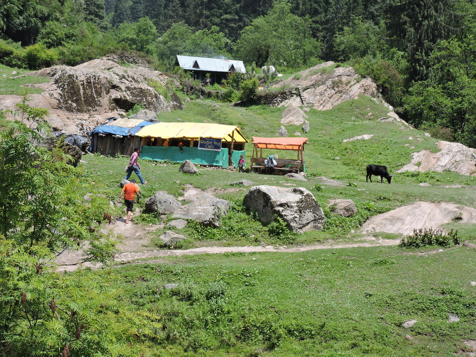 Photo of The Art of Travel - Parvati Valley 19/25 by Rikita Parikh