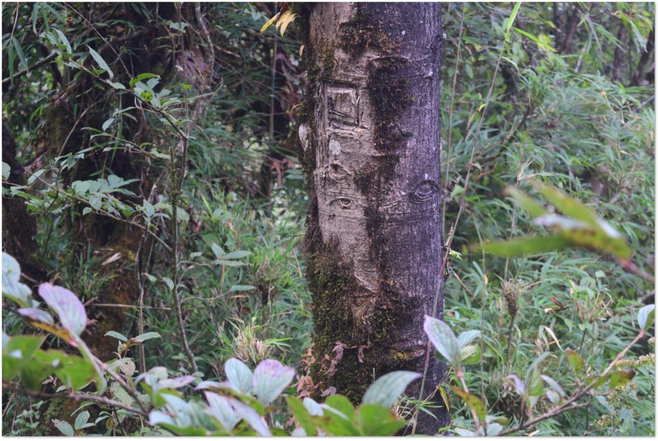 Photo of Supernatural experience at Sandakphu 3/8 by Roaming Bugs