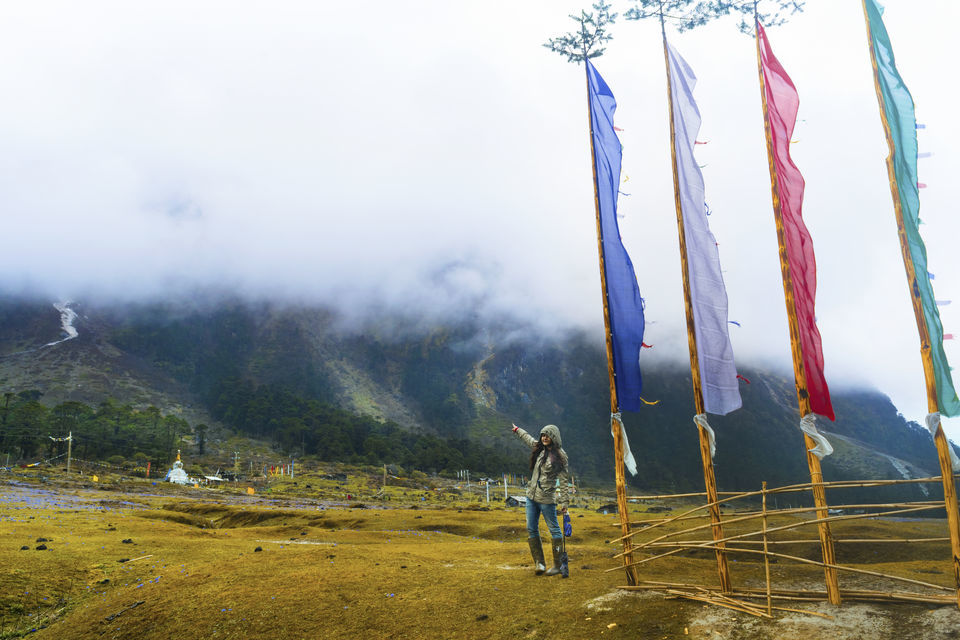 Photo of The more I SEE the more I fall in LOVE | Sikkim Gangtok Lachung Lachen Yumthang valley 8/15 by Roaming Bugs