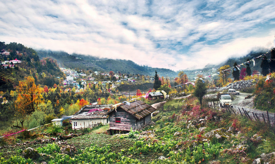 Photo of The more I SEE the more I fall in LOVE | Sikkim Gangtok Lachung Lachen Yumthang valley 15/15 by Roaming Bugs
