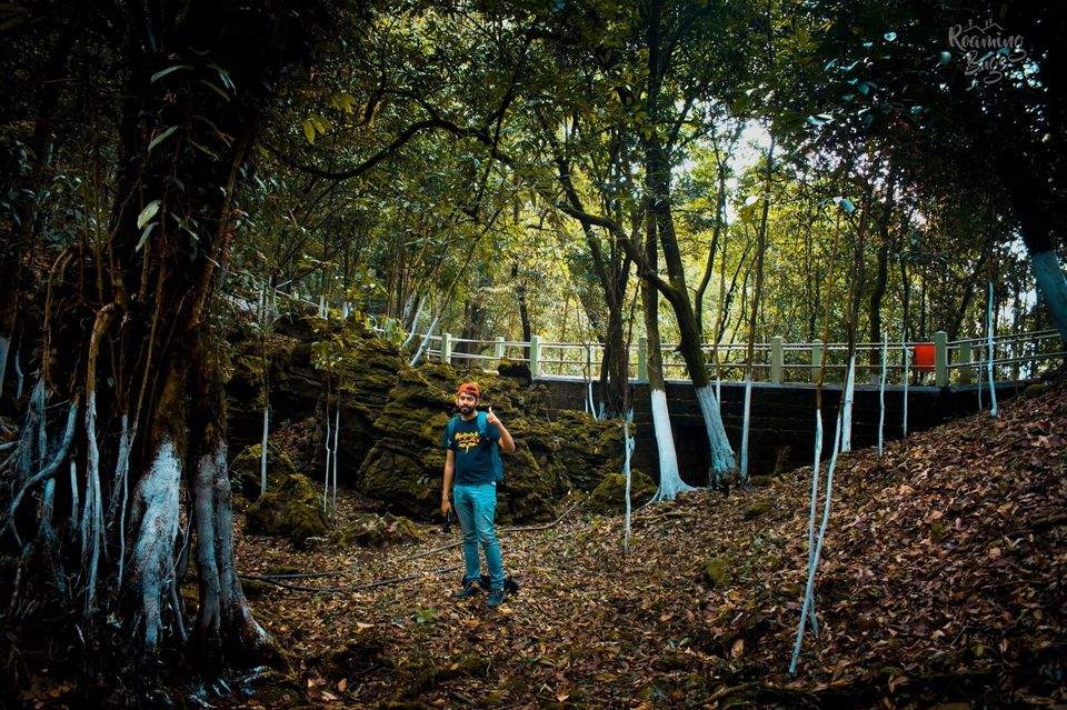 Photo of Mythical Meghalaya -Our last trip before lockdown- #NorthEast #Meghalaya Part 2 7/26 by Roaming Bugs