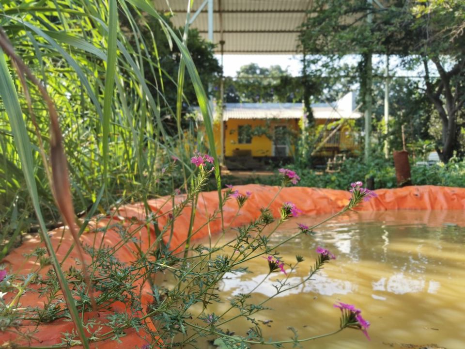 Photo of Hornbill Ranch Organic Farmstay, Unnamed Road, Basuragadi Village, Hyderabad, Telangana, India by dhananjay Iyer