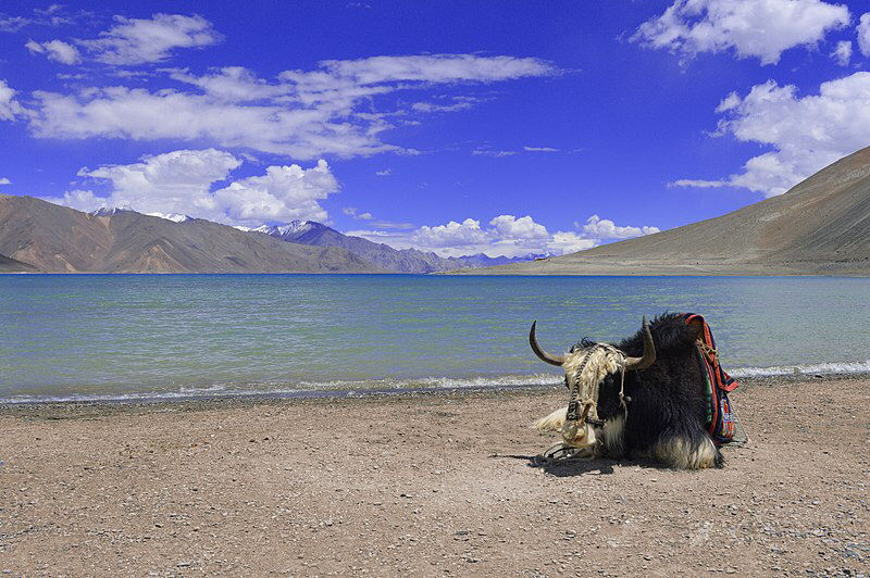 Photo of Ladakh by Gaurav Sharma