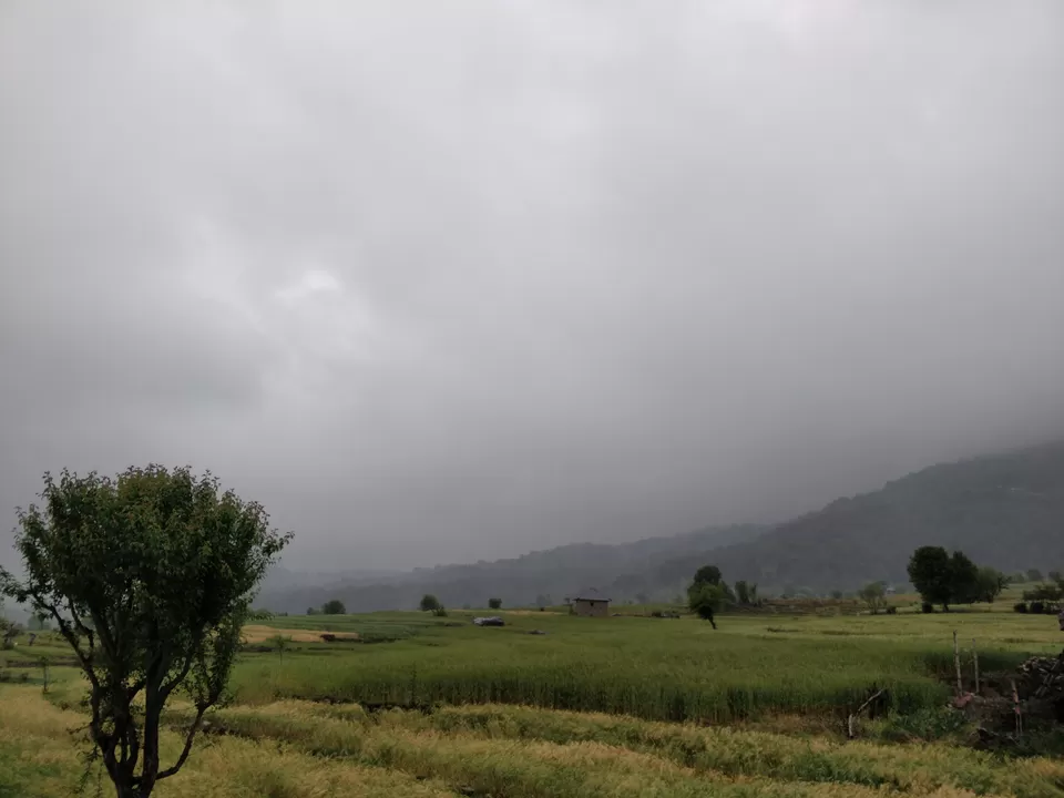 Photo of Paragliding Landing Site Bir Billing, Bir Colouny Rd, Suja, Himachal Pradesh, India by im.amankh