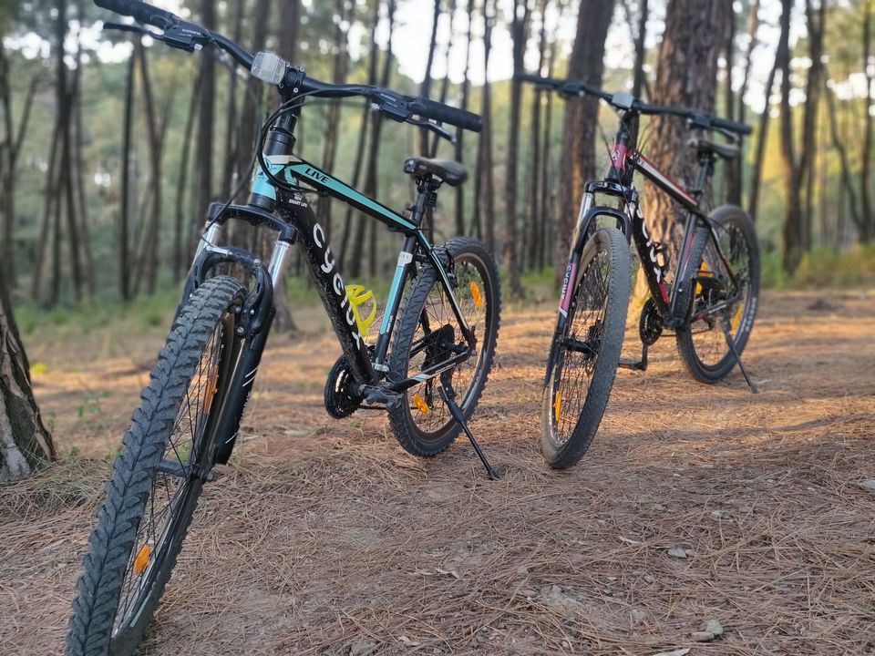 Photo of BIR | 5 days | 5 Places nearby | 5 Modes of transportation. by im.amankh
