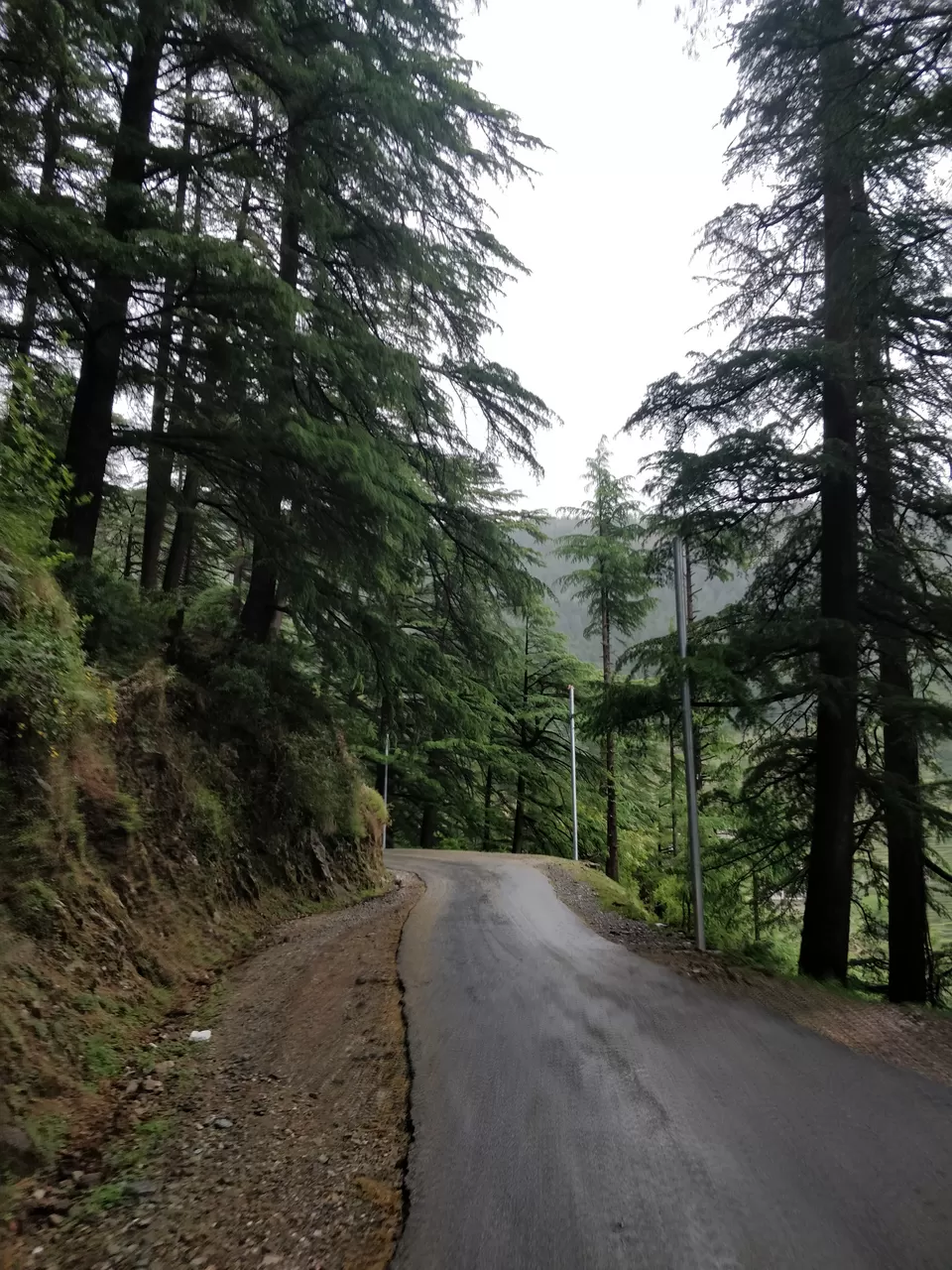 Photo of Barot, Himachal Pradesh, India by im.amankh