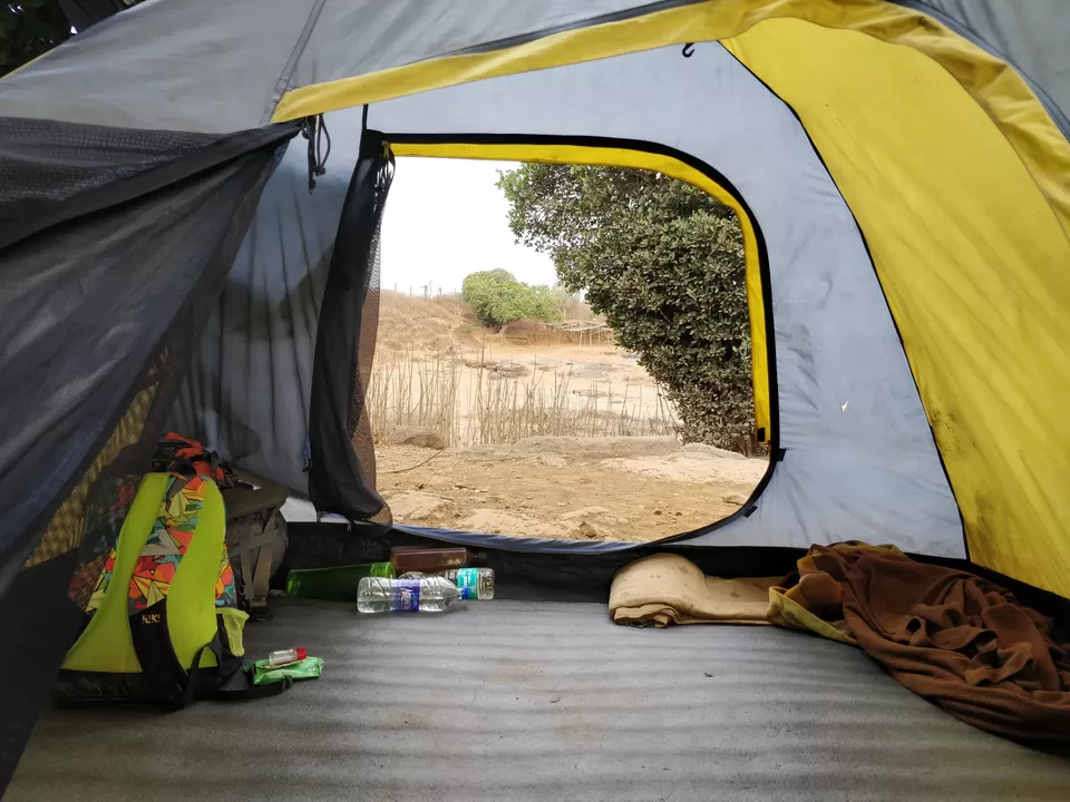 Photo of Konkan Kada, Maharashtra by im.amankh