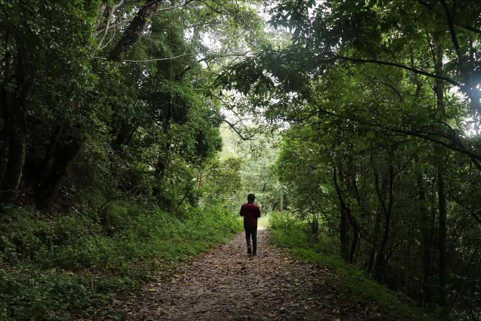 Photo of A jungle stay just 13 kms far from Kathmandu. by Priyam Nath