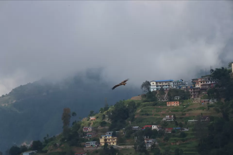 Photo of A jungle stay just 13 kms far from Kathmandu. by Priyam Nath