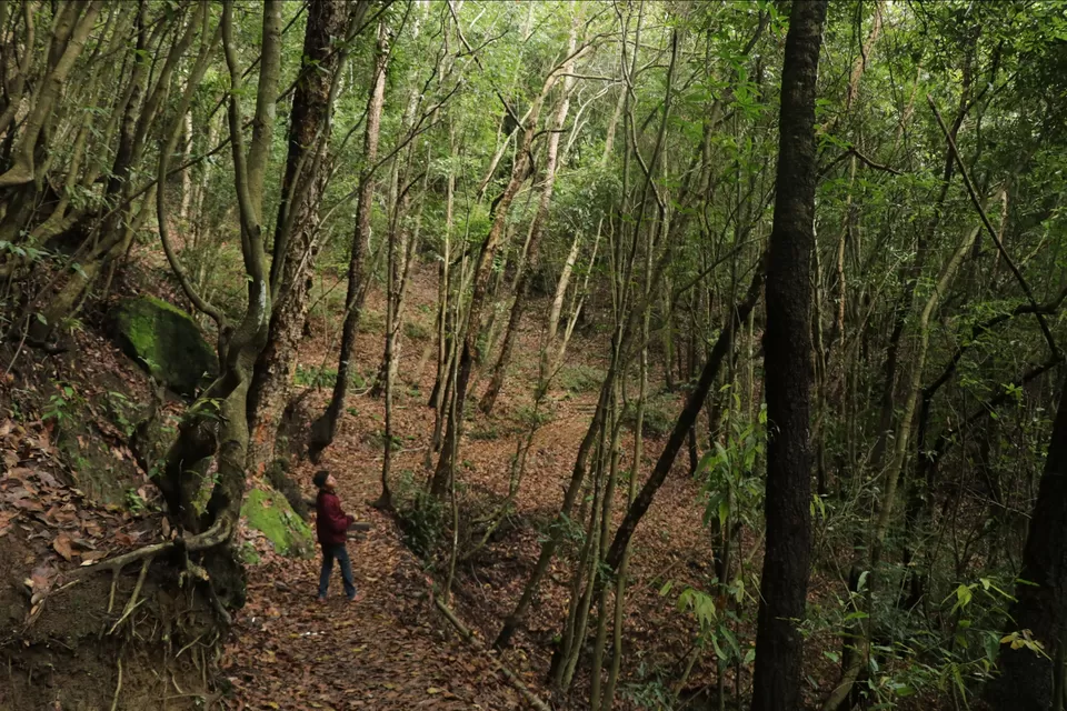 Photo of A jungle stay just 13 kms far from Kathmandu. by Priyam Nath