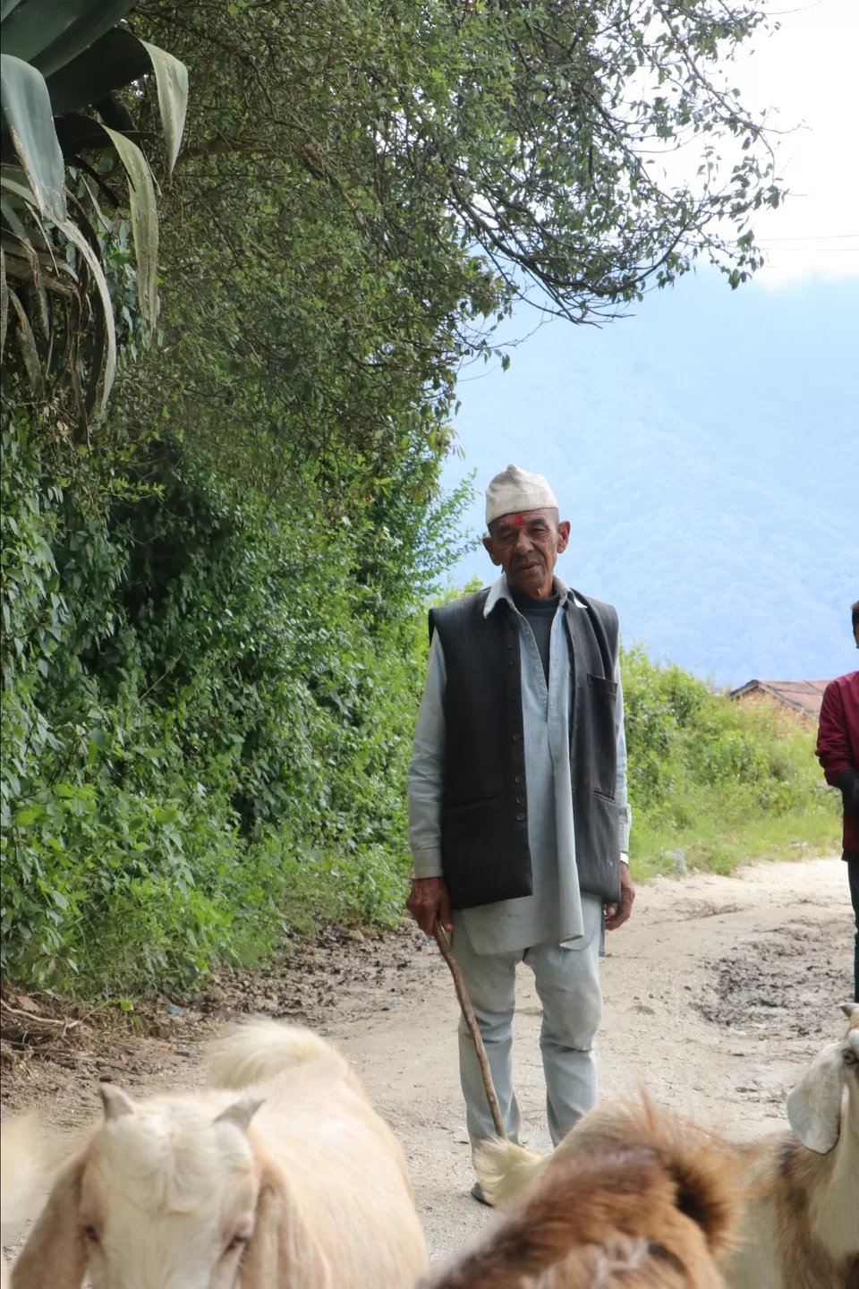 Photo of A jungle stay just 13 kms far from Kathmandu. by Priyam Nath