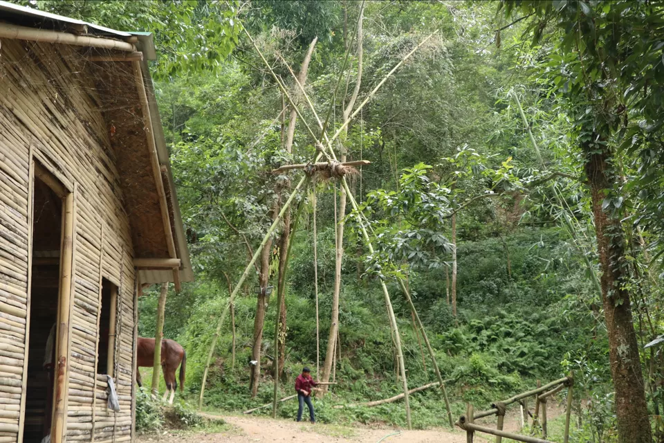 Photo of A jungle stay just 13 kms far from Kathmandu. by Priyam Nath