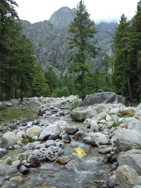 Photo of Hotel Ashiana, sangla by kapil verma
