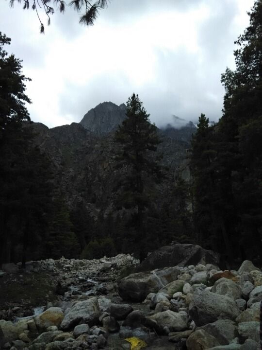 Photo of Hotel Ashiana, sangla by kapil verma
