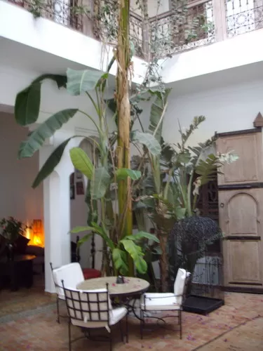 Photo of Marrakesh by Rosen Blume
