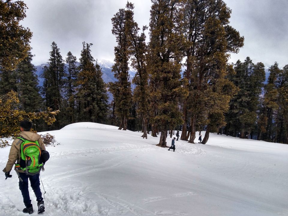 Photo of Amazing Trip; The best winter trek 3/6 by Anshuman Kaushik