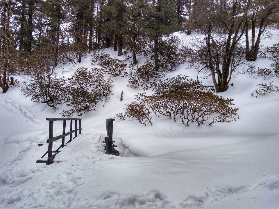 Photo of Amazing Trip; The best winter trek 4/6 by Anshuman Kaushik