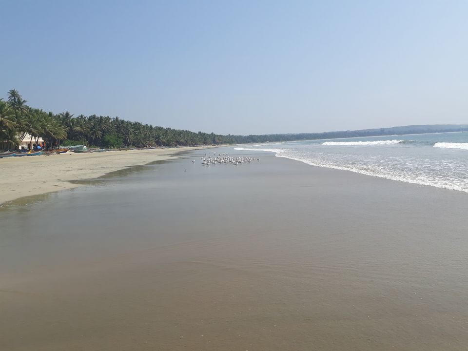 Photo of Tarkarli Beach, Maharashtra by Traveller @j!t