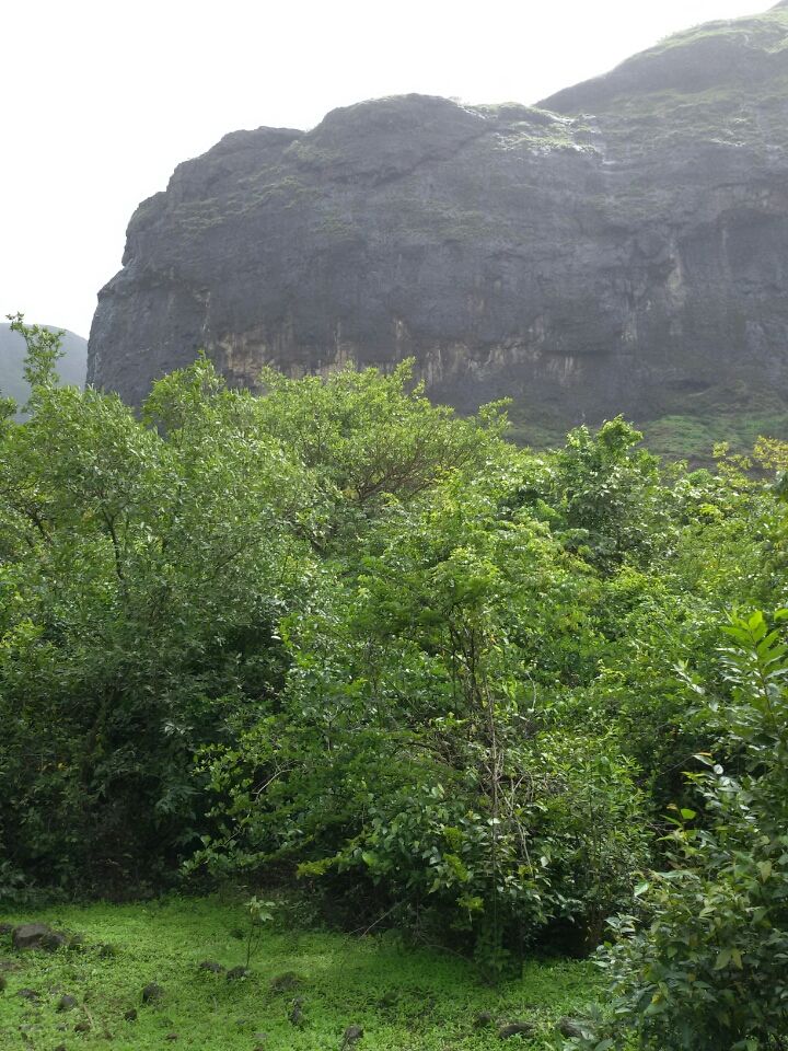 Photo of Mesmerising Harishchandragad by Pravin Goykar