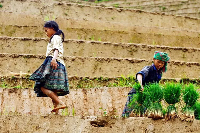 Photo of Mu Cang Chai by Anasia Travel Vietnam