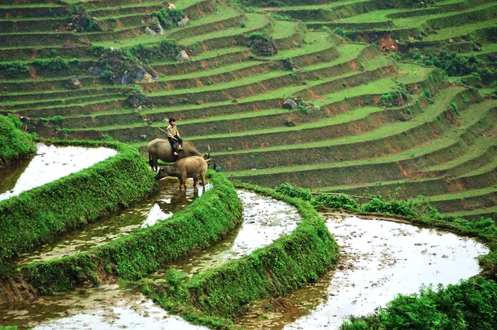 Photo of Ta Van village by Anasia Travel Vietnam
