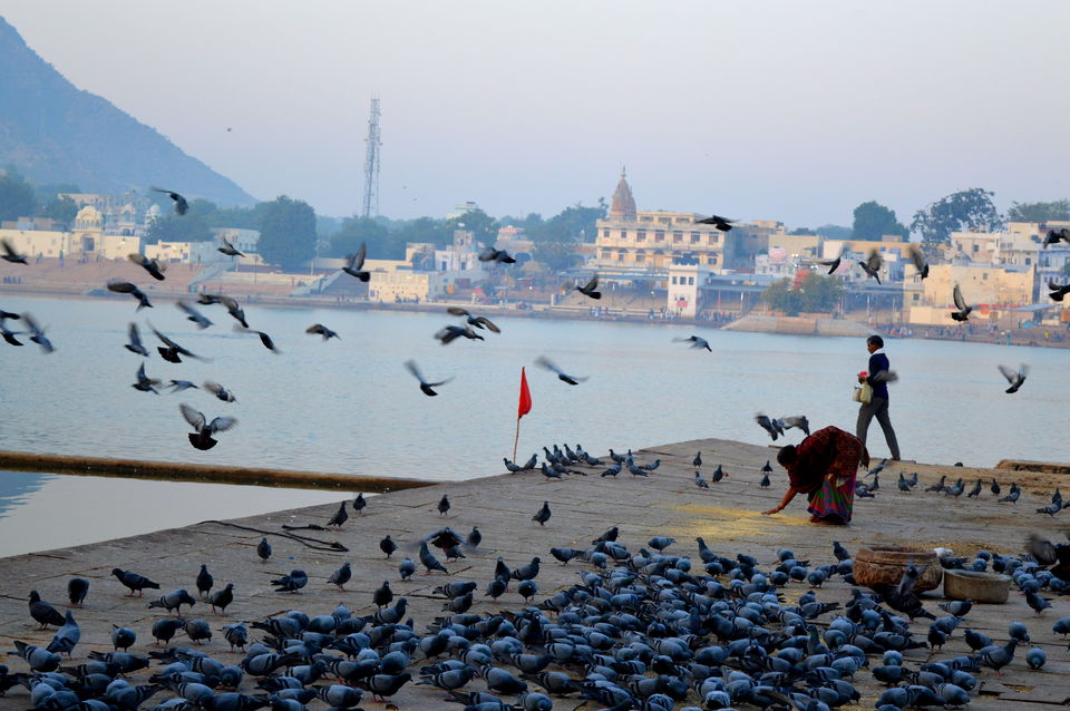 Photo of A Parikrama at the Pushkar Ghat 1/9 by Polomi M (Curious Traveler)